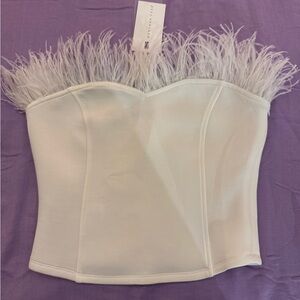 Endless Rose Strapless Feather Top